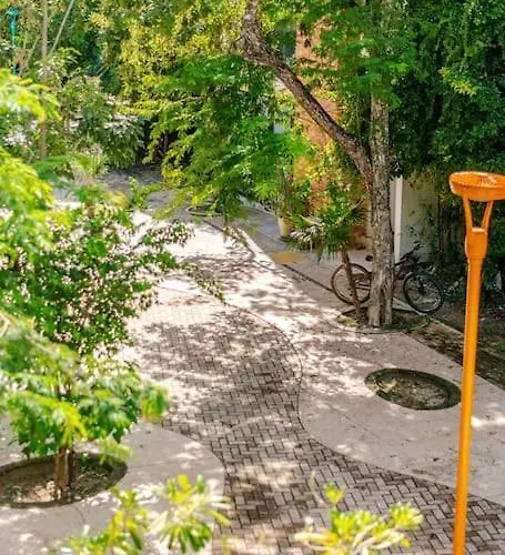 Unwind At Magdalena, Private With 3 Bedrooms, Rooftop Pool And Fast Wi-fi For Digital Nomads * Tulum